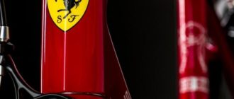 Το ποδήλατο Ferrari - τύποι, πλεονεκτήματα και μειονεκτήματα