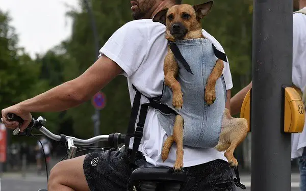 σακίδιο για τη μεταφορά σκύλου με ποδήλατο