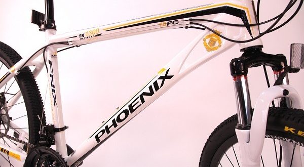 Ποδήλατο Phoenix - πλεονεκτήματα και μειονεκτήματα, συμβουλές επιλογής