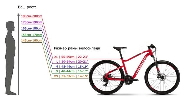 Μέγεθος πλαισίου ποδηλάτου ανά ύψος - πώς να βρείτε και να προσαρμόσετε, πίνακας